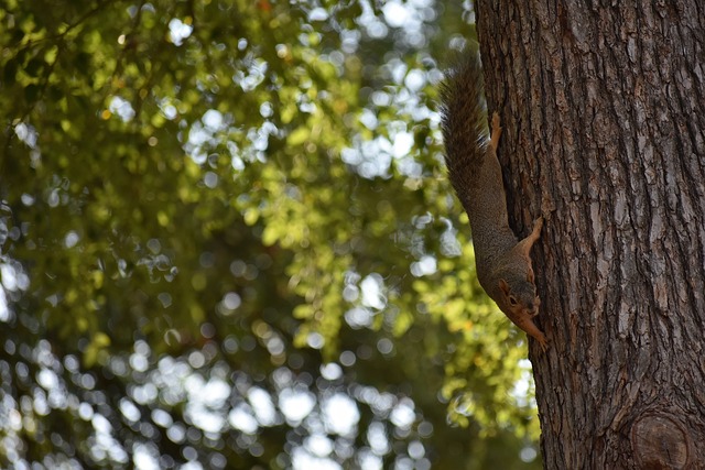 每一次比赛 每一次比赛