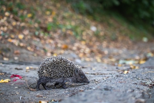 配合与精确 配合与精确