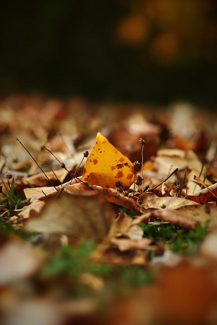 比如快速回 比如快速回