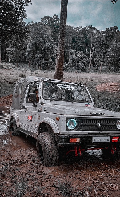 些水资源分 些水资源分