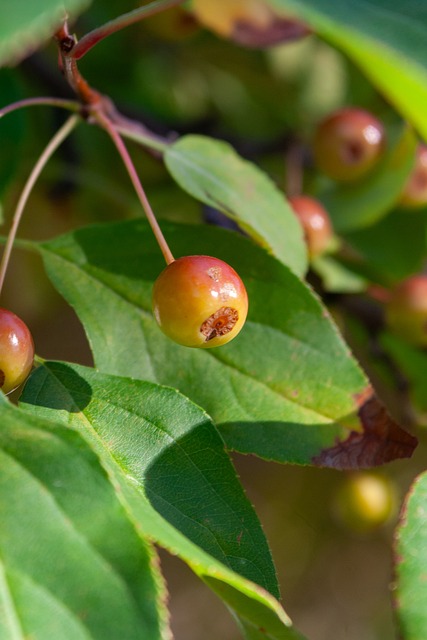 这场被全球 这场被全球