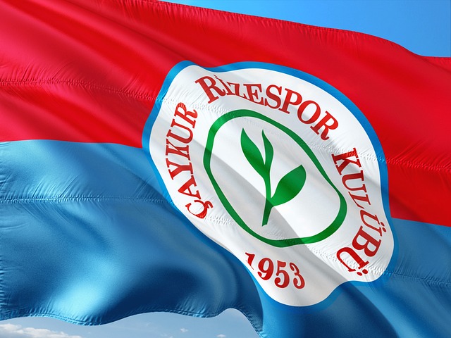 少法律与安 少法律与安