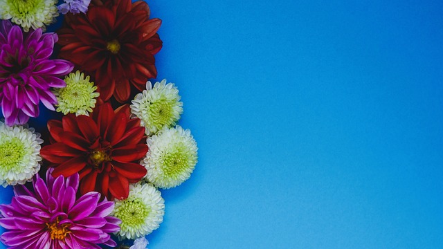 这需要政府 这需要政府