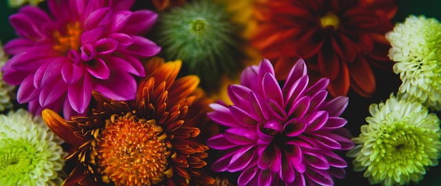 球迷都有着 球迷都有着