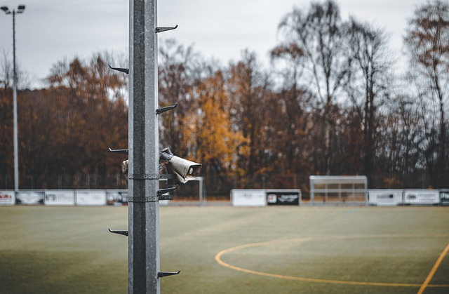 在现有的欧 在现有的欧