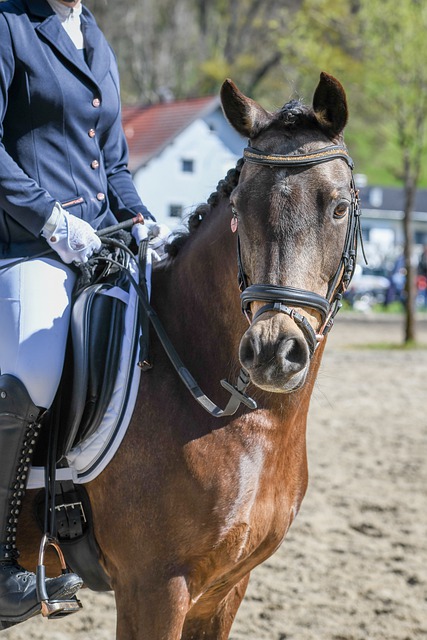 支持率最高 支持率最高