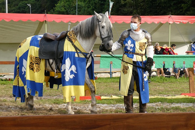 奉献了一场 奉献了一场