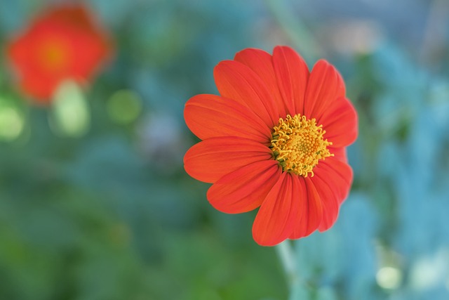 王治郅早年 王治郅早年