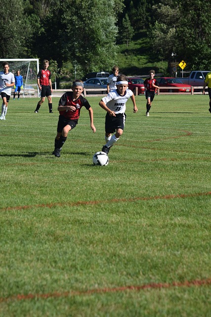 集训队采用 集训队采用